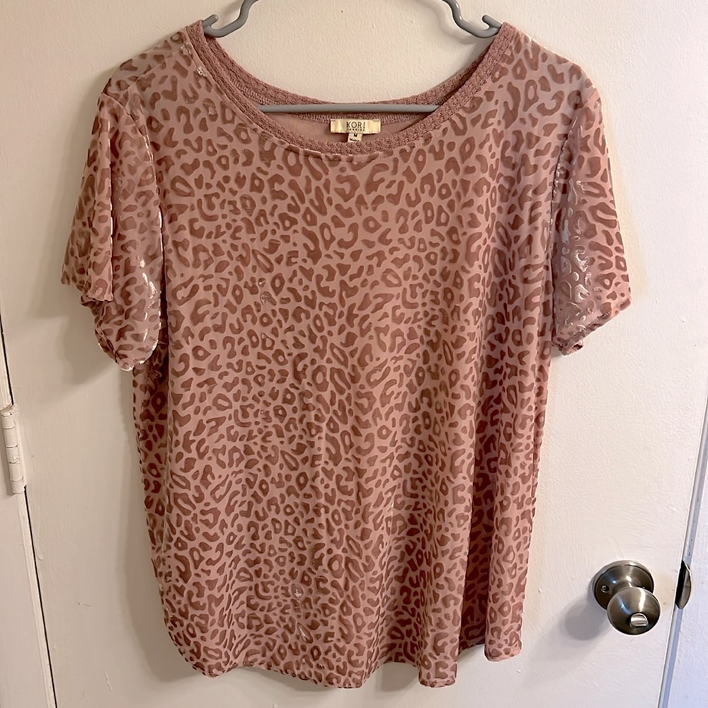 Sheer/velvet cheetah top